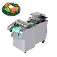 Conveyor-Vegetable-Cutting-Machine-www.bovic_.co_.ke-Botto-Solar 2