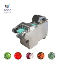 Conveyor-Vegetable-Cutting-Machine-www.bovic_.co_.ke-Botto-Solar